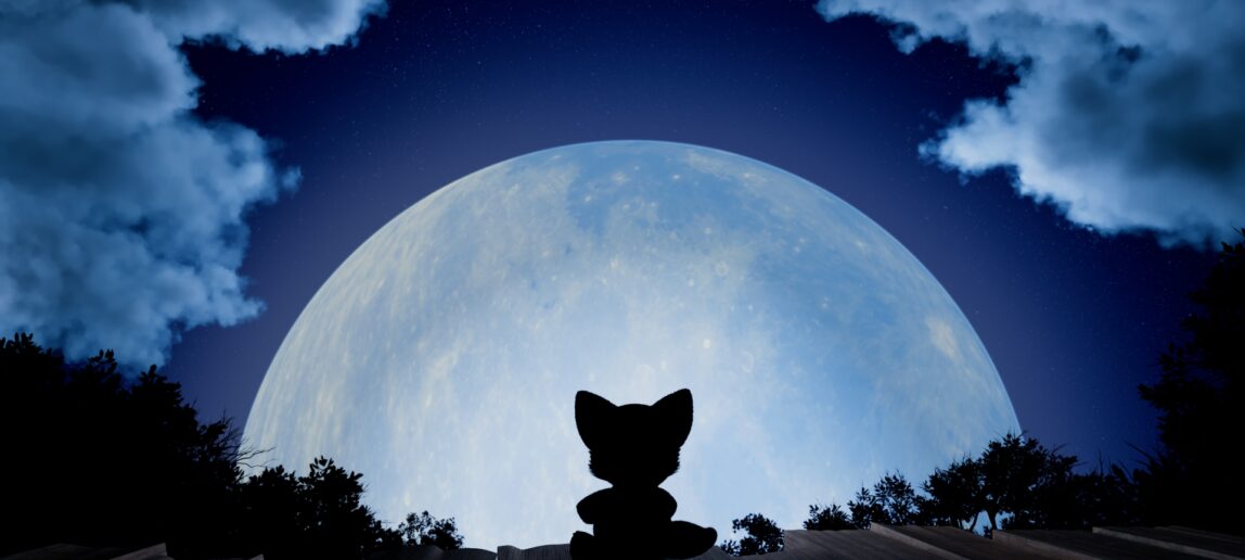 An animated scene with a small wolf looking at the moon.