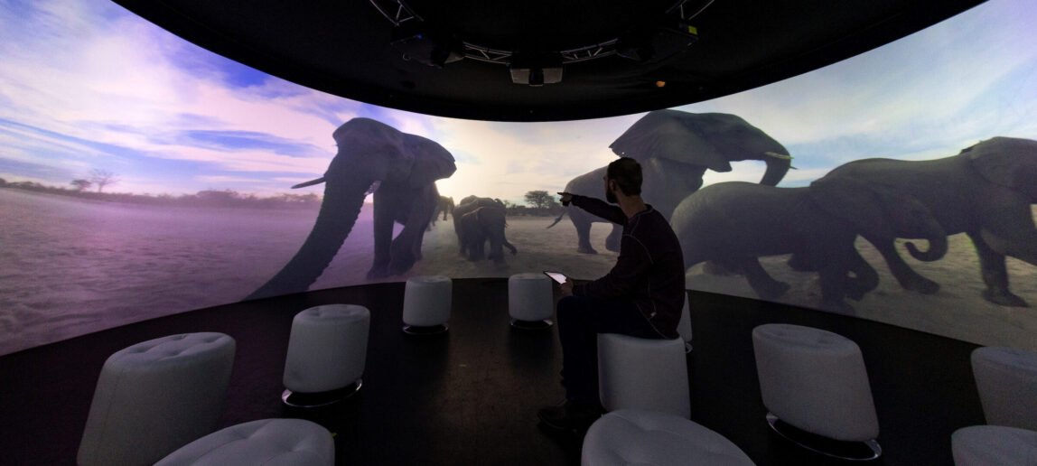 A student looks at an image of running elephants projected in front of him while he's seated in a room that has a 360-degree screen.