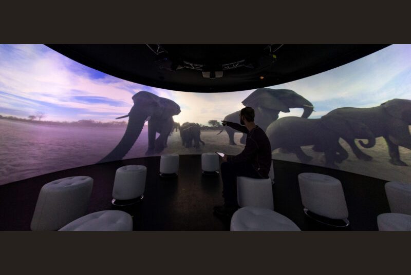 A student looks at an image of running elephants projected in front of him while he's seated in a room that has a 360-degree screen.