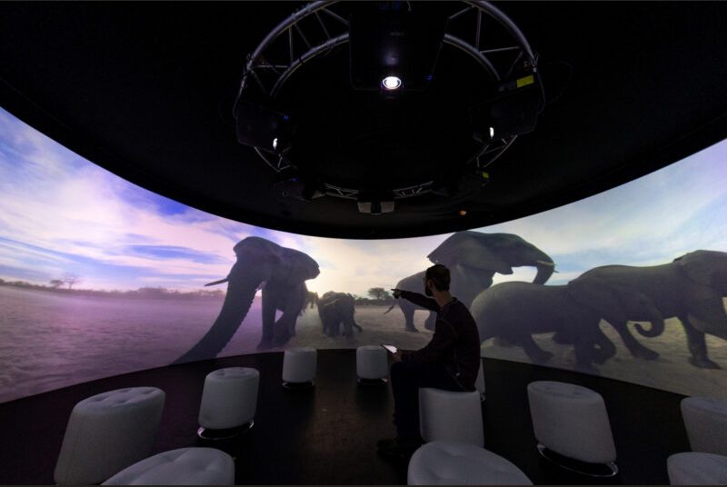 A student looks at an image of running elephants projected in front of him while he's seated in a room that has a 360-degree screen.