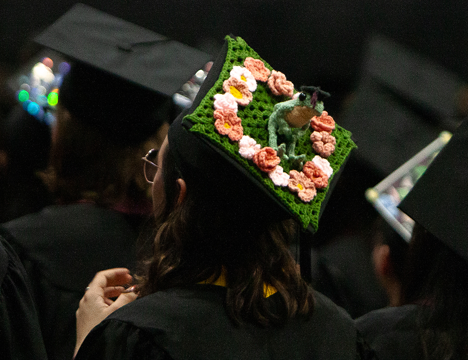 A college student's graduation cap is shown, decorated with a green frog character and flowers.