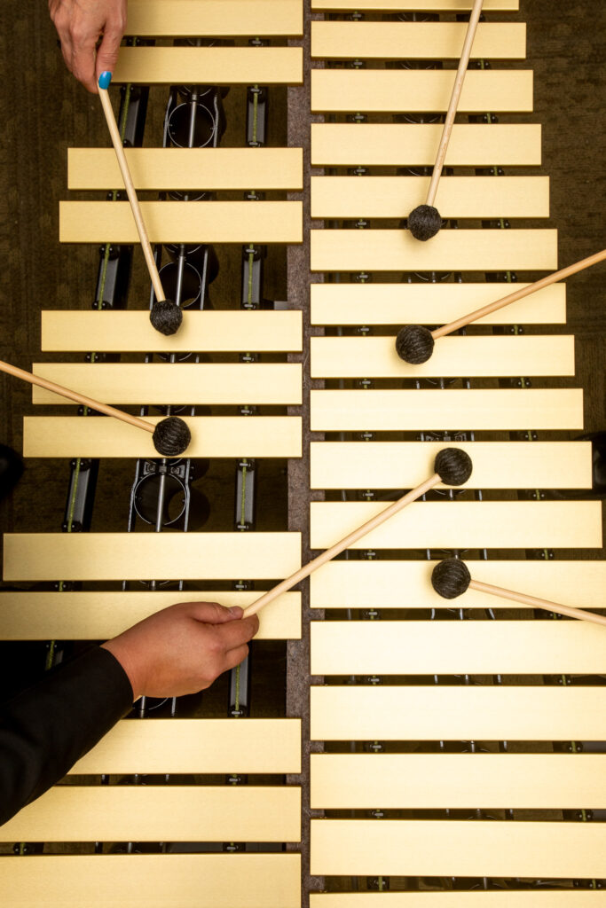 A close-up view of a percussion instrument.